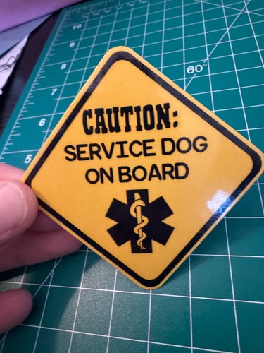 Attenzione servizio cane - servizio, a
