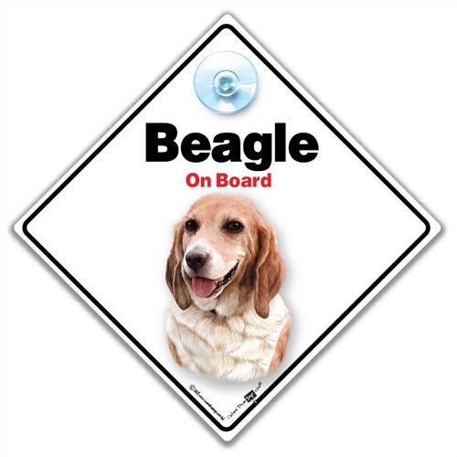 Insegna beagle bordo - insegna,