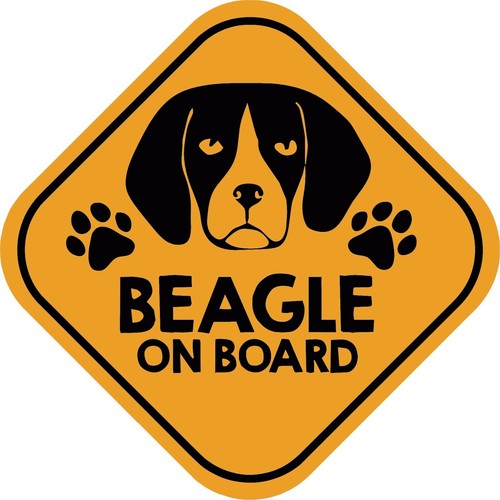 Adesivo auto beagle board - auto,