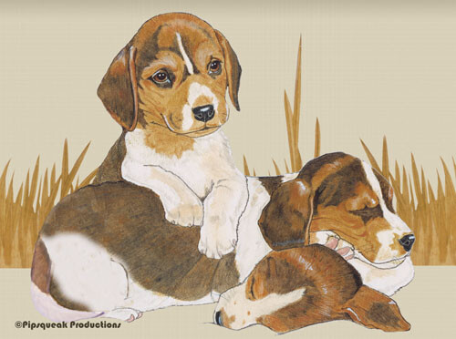 Beagle tagliere vetro - in,