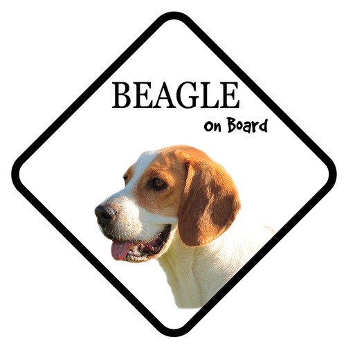Beagle board car sign with - on,
