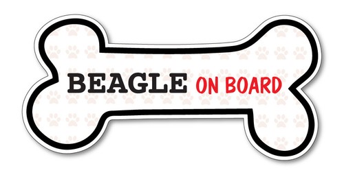 Funny dog bone beagle - beagle, on