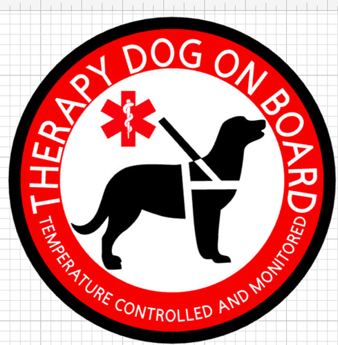Terapia cane bordo - cane,