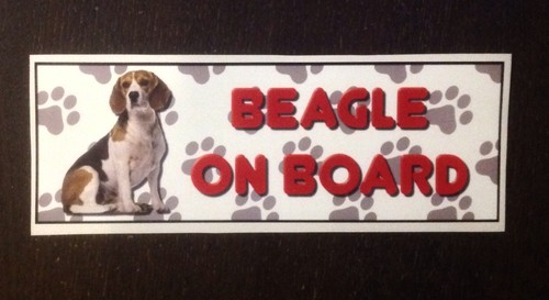 Beagle board external - beagle, on