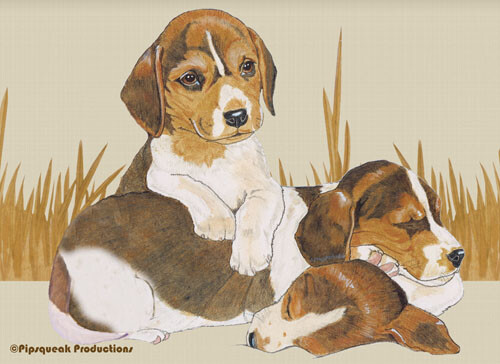 Beagle tagliere per cani - per,